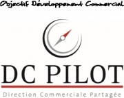 DC Pilot