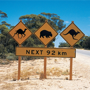 Carnet de route Australie (3) - Le périple d'un couple d'IFAGuiens