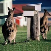 Carnet de route Australie (1) - Le périple d'un couple d'IFAGuiens