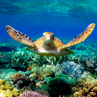 Carnet de route Australie (6) - Le périple d'un couple d'IFAGuiens